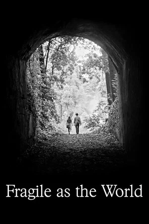 Постер: Fragile as the World