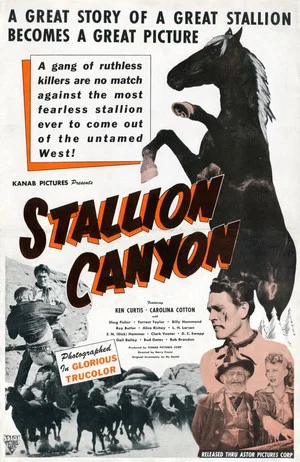 Постер: Stallion Canyon