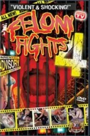 Постер: Felony Fights 4: Down and Dirty