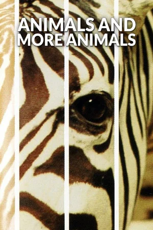 Постер: Animals and More Animals
