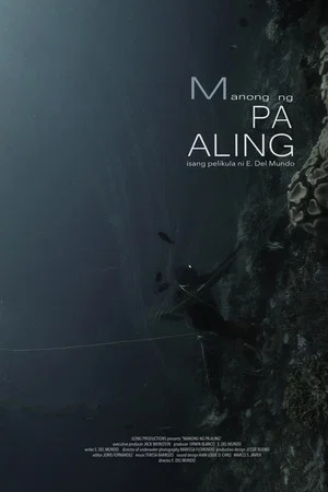 Постер: Man of Pa-Aling