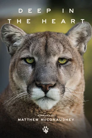 Постер: Deep in the Heart: A Texas Wildlife Story