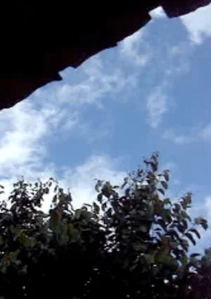 Постер: Landscape Memory #1