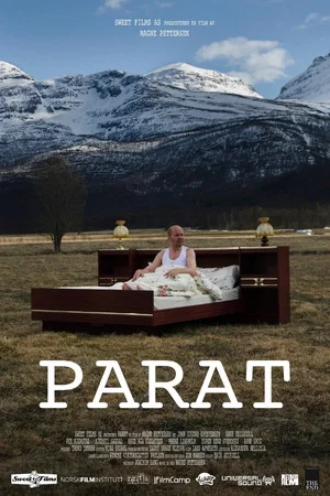 Постер: Parat