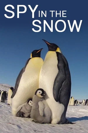 Постер: Spy in the Snow