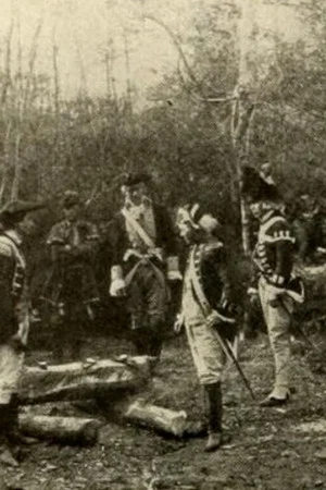 Постер: The Swamp Fox