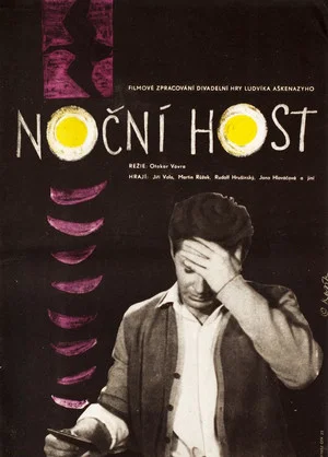 Постер: The Night Guest