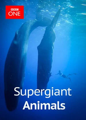 Постер: Supergiant Animals