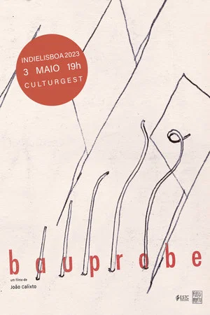 Постер: BAUPROBE
