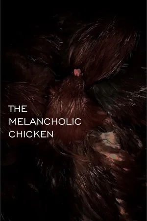 Постер: THE MELANCHOLIC CHICKEN
