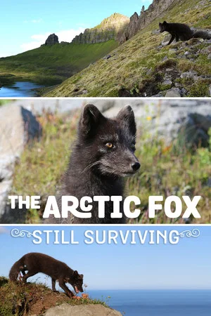 Постер: The Arctic Fox: Still Surviving