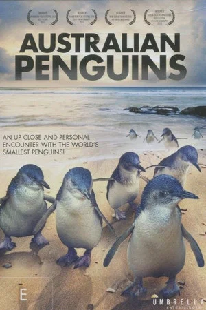 Постер: Australian Penguins