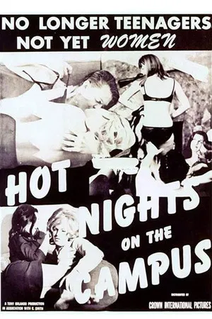 Постер: Hot Nights on the Campus