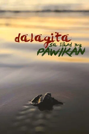 Постер: Dalagita sa Likod Pawikan
