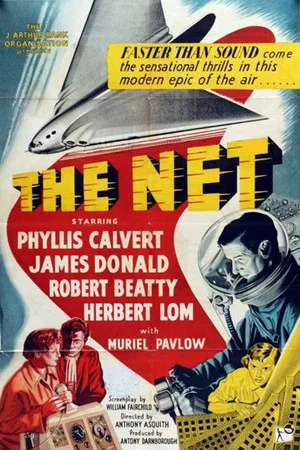 Постер: The Net