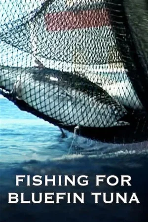 Постер: A Tutto Tonno - La Pesca del Tonno Rosso