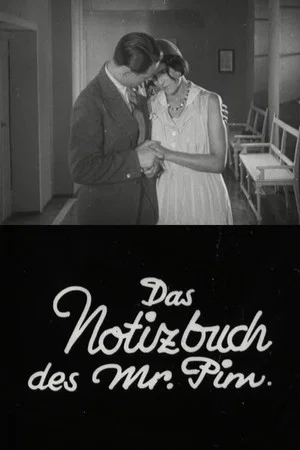 Постер: The notebook of Mr. Pim