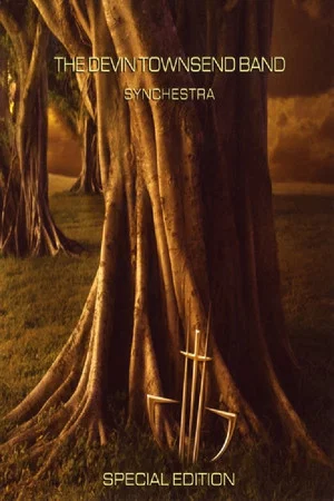 Постер: The Devin Townsend Band: Safe Zone