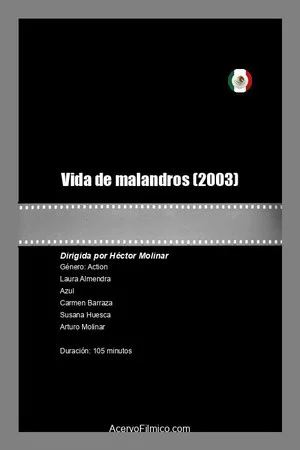 Постер: Vida de Malandros