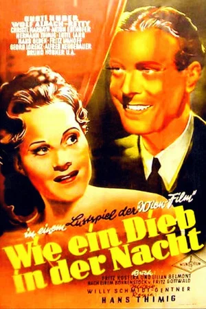 Постер: Wie ein Dieb in der Nacht