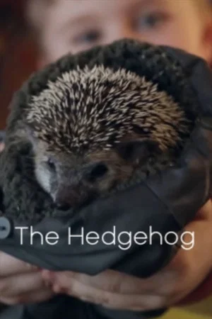 Постер: The Hedgehog
