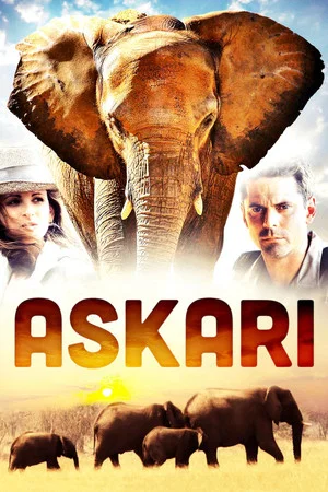 Постер: Askari