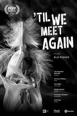 Постер: Till We Meet Again