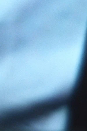 Постер: OFFICE HUG (ON BLUE BIRDS WITH A SHEET OVER DEAD BELONGINGS)