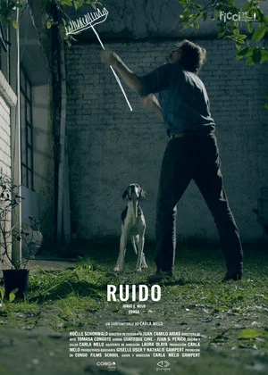 Постер: Ruido