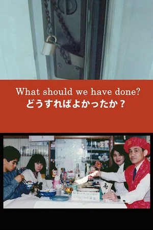 Постер: What Should We Have Done?