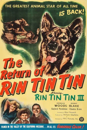 Постер: The Return of Rin Tin Tin