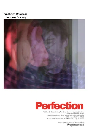 Постер: Perfection