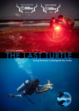 Постер: The Last Turtle