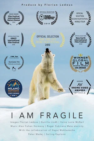 Постер: I Am Fragile