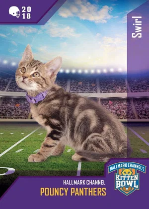 Постер: Kitten Bowl VIII Special