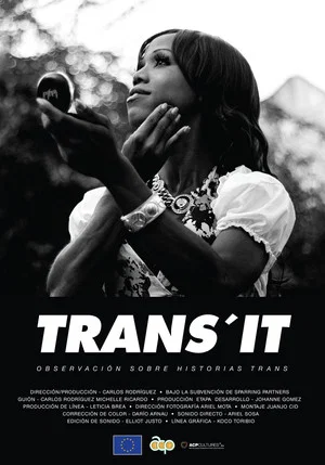 Постер: Trans'It