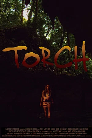 Постер: Torch