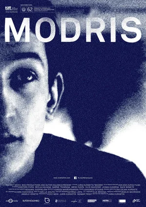 Постер: Modris