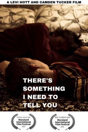 Постер: There's Something I Need to Tell You