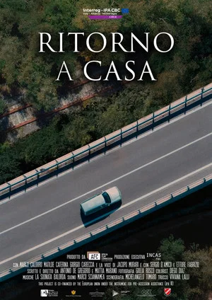 Постер: Homecoming