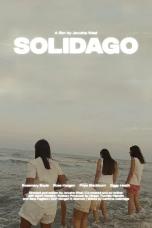 Постер: Solidago