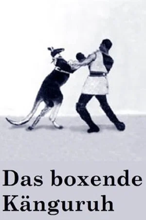 Постер: Das boxende Känguruh