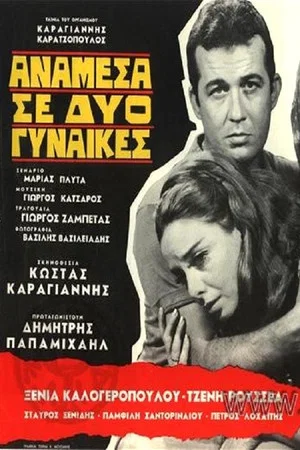 Постер: Between Two Women