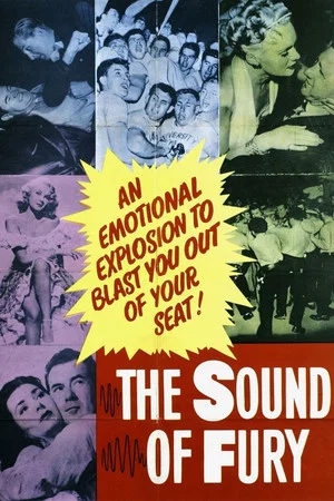 Постер: The Sound of Fury