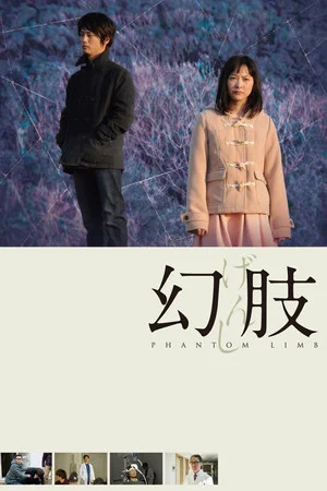 Постер: Phantom Limb