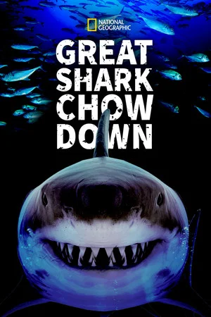 Постер: Great Shark Chow Down