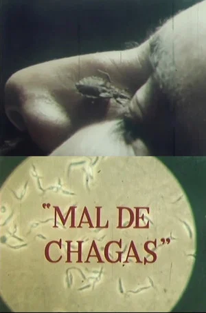 Постер: Mal de chagas