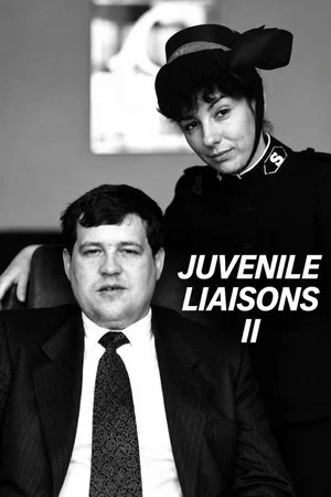 Постер: Juvenile Liaison 2