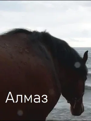 Постер: Алмаз