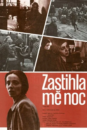 Постер: Caught by Night